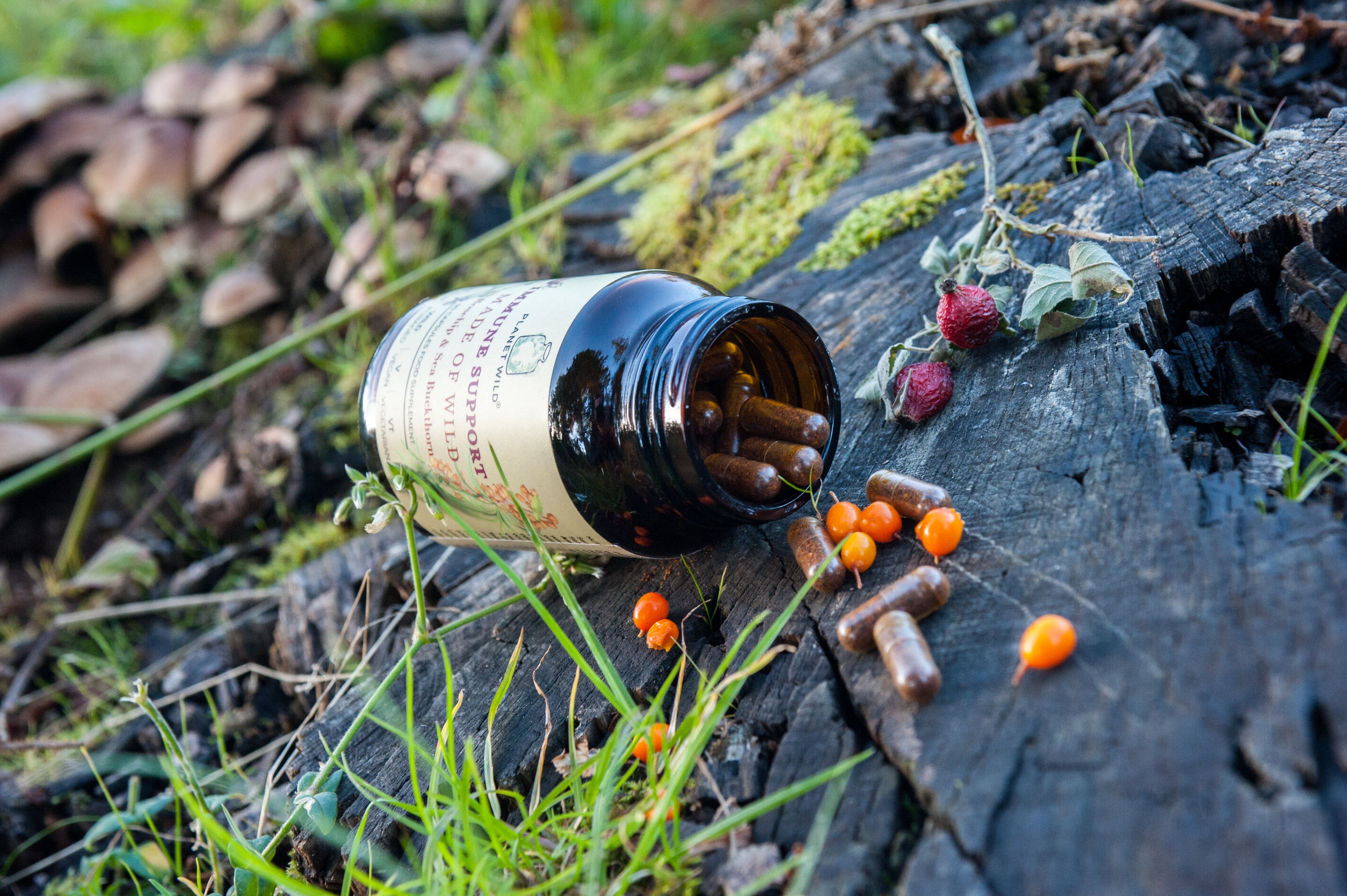 Wild Rosehip And Wild Sea Buckthorn Food Supplements For Immune Support, Eye Health Support, Heart Health Support, Brain Health Support, Cholesterol Management, Pain relief, Anti-inflammation, Blood pressure regulation, Omega 3, Vitamin C, Vitamin E, Vitamin K, Iron , Calcium, Potassium, Magnesium, Silicon, Sodium, Zinc 