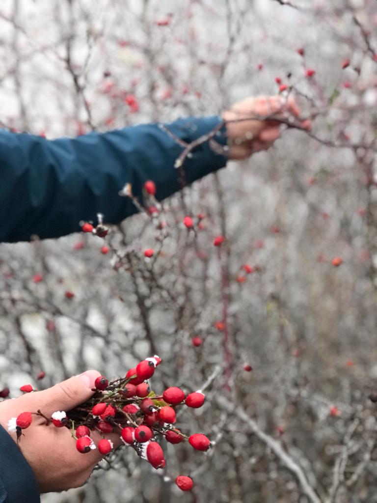 Wild Rosehip And Wild Sea Buckthorn Food Supplements For Immune Support, Eye Health Support, Heart Health Support, Brain Health Support, Cholesterol Management, Pain relief, Anti-inflammation, Blood pressure regulation, Omega 3, Vitamin C, Vitamin E, Vitamin K, Iron , Calcium, Potassium, Magnesium, Silicon, Sodium, Zinc 