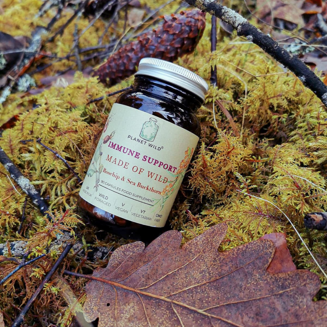 Wild Rosehip And Wild Sea Buckthorn Food Supplements For Immune Support, Eye Health Support, Heart Health Support, Brain Health Support, Cholesterol Management, Pain relief, Anti-inflammation, Blood pressure regulation, Omega 3, Vitamin C, Vitamin E, Vitamin K, Iron , Calcium, Potassium, Magnesium, Silicon, Sodium, Zinc 